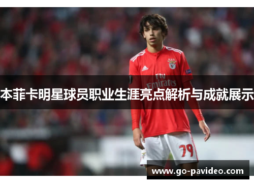 本菲卡明星球员职业生涯亮点解析与成就展示 本菲卡明星球员职业生涯亮点解析与成就展示