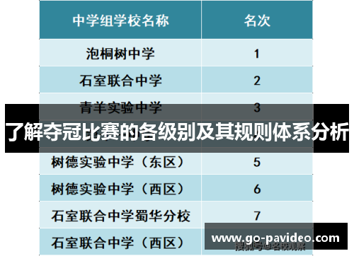 了解夺冠比赛的各级别及其规则体系分析