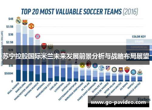 苏宁控股国际米兰未来发展前景分析与战略布局展望